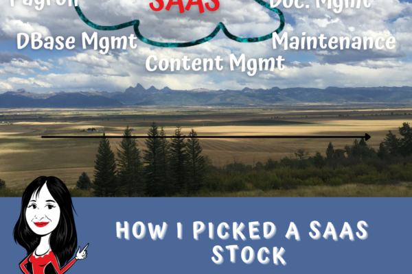 HOW I PICKED A SAAS STOCK